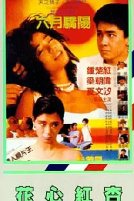 久久国内精品自在自线400部o